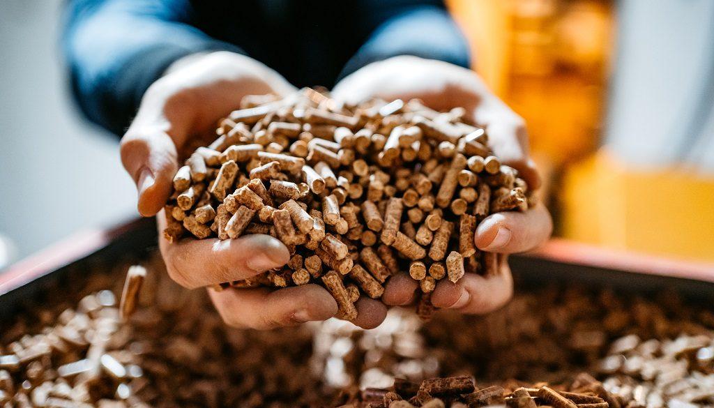 piec pellet 1024x585 - Blog