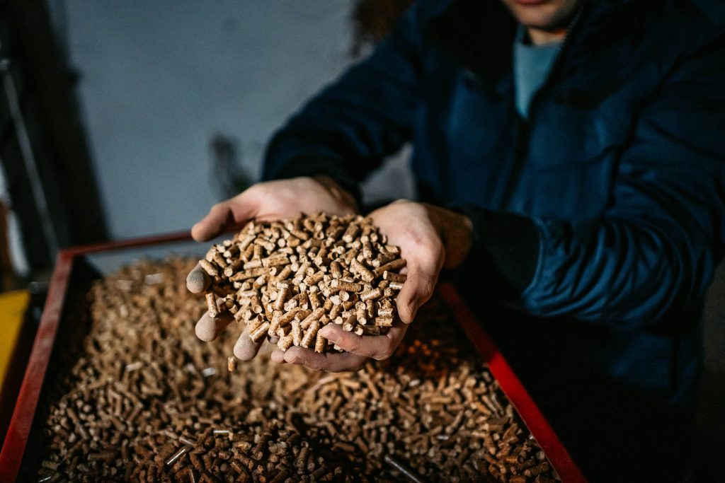 pellet 1024x683 - Blog